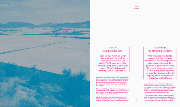 Plastic Sea, Perfect Storm (2026) - Signed copy