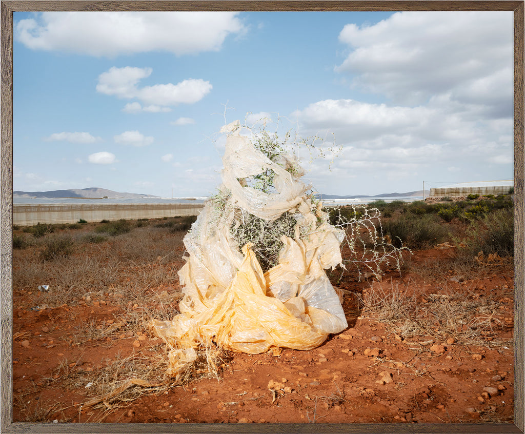 Annual Subscription 71.5 x 86 cm. The Europeans 2020 - 2030. Plastic Symbiosis | Los Albaricoques, Spain, 2025