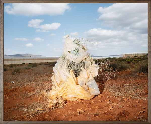 Annual Subscription 71.5 x 86 cm. The Europeans 2020 - 2030. Plastic Symbiosis | Los Albaricoques, Spain, 2025