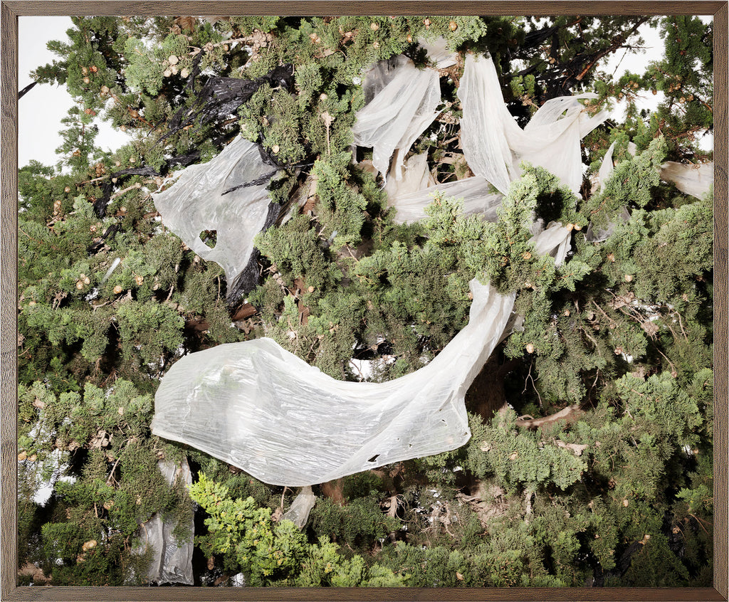 Annual Subscription 71.5 x 86 cm. The Europeans 2020 - 2030. Plastic Symbiosis | Los Nietos, Spain, 2025