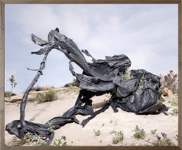 Annual Subscription 86 x 71.5 cm. The Europeans 2020 - 2030. Plastic Symbiosis | El Hornillo, Spain, 2025