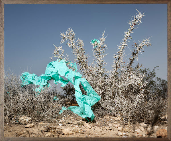 Annual Subscription 71.5 x 86 cm. The Europeans 2020 - 2030. Plastic Symbiosis | El Barranquete, Spain, 2025