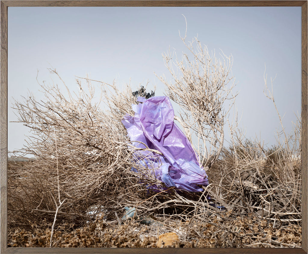 Annual Subscription 71.5 x 86 cm. The Europeans 2020 - 2030. Plastic Symbiosis | El Barranquete, Spain, 2025