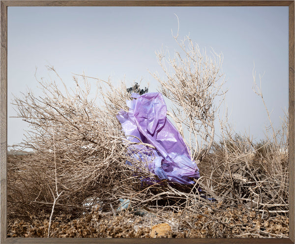 Annual Subscription 71.5 x 86 cm. The Europeans 2020 - 2030. Plastic Symbiosis | El Barranquete, Spain, 2025