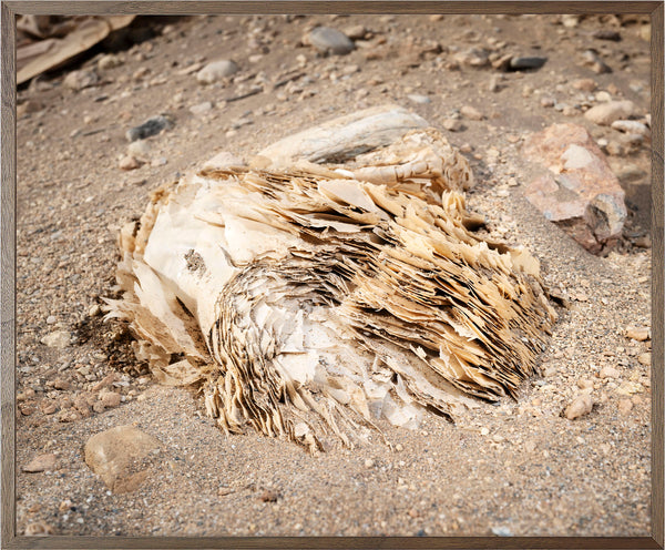 Annual Subscription 86 x 71.5 cm. The Europeans 2020 - 2030. Plastic Symbiosis | Balanegra, Spain, 2025