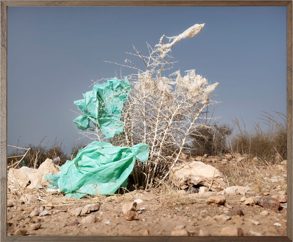 Annual Subscription 71.5 x 86 cm. The Europeans 2020 - 2030. Plastic Symbiosis | El Barranquete, Spain, 2025