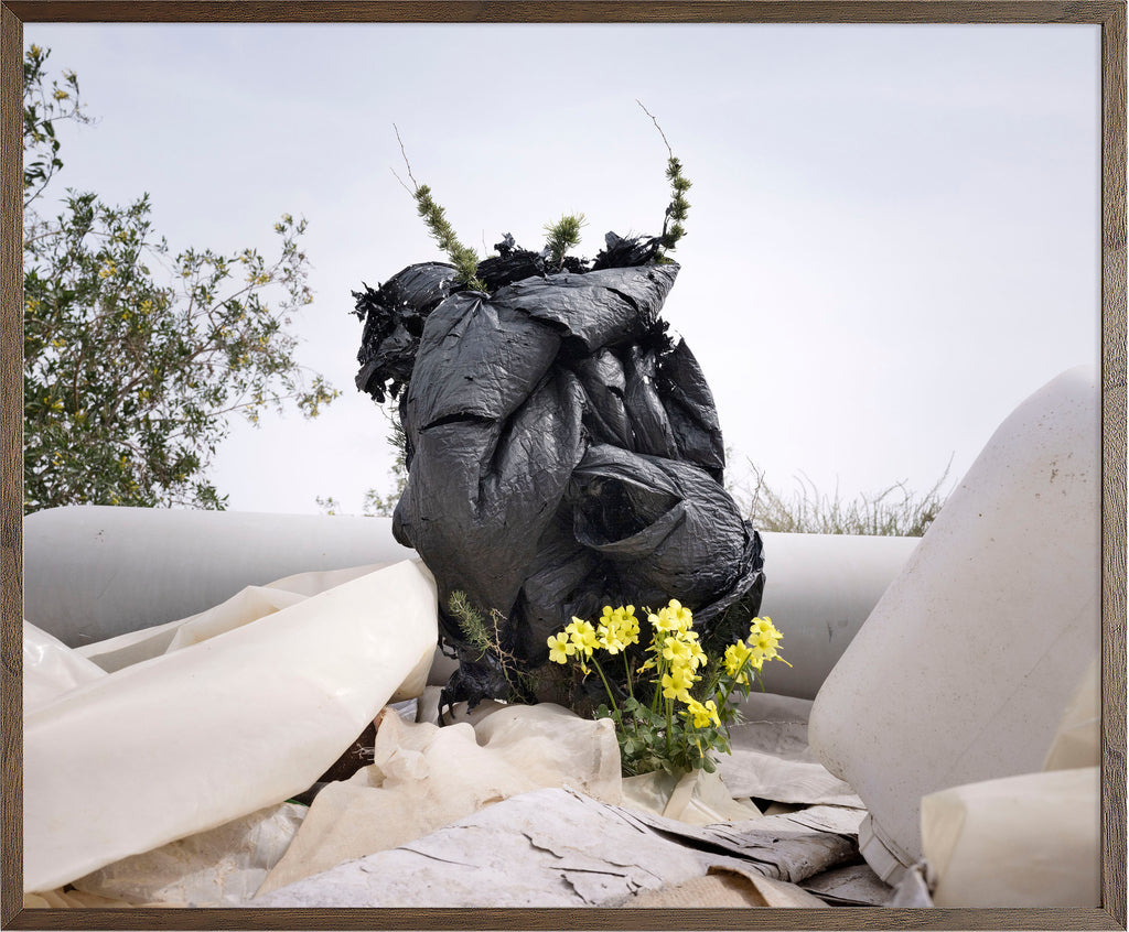 Annual Subscription 86 x 71.5 cm. The Europeans 2020 - 2030. New Botanica 4