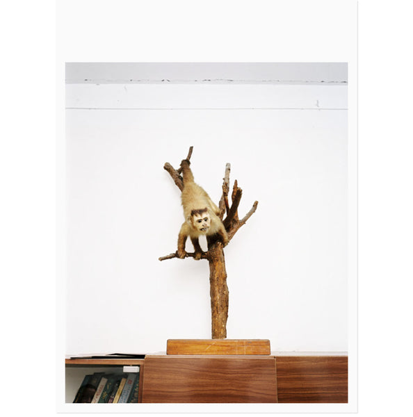 Postcard booklet Wildlife (2016)